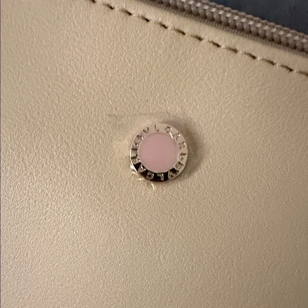 Chic Beige Pouch
